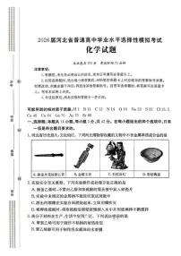 河北省邢台市名校协作体2026届高三上学期一模化学试题（含答案）