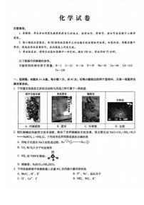 重庆巴蜀中学校2026届高三上学期12月月考化学试题（含答案）