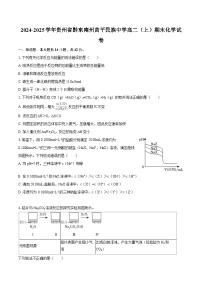 2024-2025学年贵州省黔东南州黄平民族中学高二（上）期末化学试卷-自定义类型