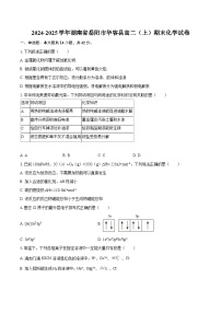 2024-2025学年湖南省岳阳市华容县高二（上）期末化学试卷-自定义类型