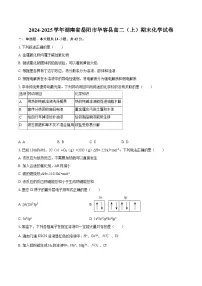 2024-2025学年湖南省岳阳市华容县高二（上）期末化学试卷-自定义类型