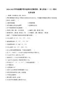 2024-2025学年新疆伊犁州直和兵团第四师、第七师高一（上）期末化学试卷-自定义类型