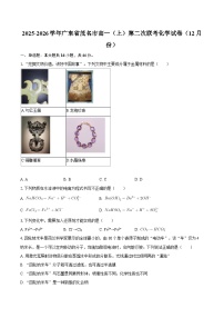 2025-2026学年广东省茂名市高一（上）第二次联考化学试卷（12月份）-自定义类型