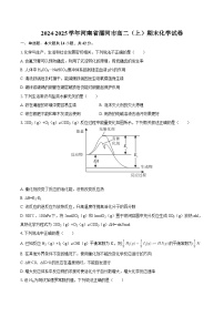 2024-2025学年河南省漯河市高二（上）期末化学试卷-自定义类型