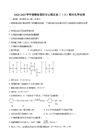 2024-2025学年湖南省岳阳市云溪区高二（上）期末化学试卷-自定义类型
