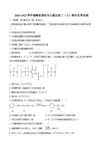 2024-2025学年湖南省岳阳市云溪区高二（上）期末化学试卷-自定义类型