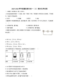 2025-2026学年西藏昌都市高一（上）期末化学试卷-自定义类型