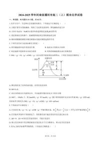 2024-2025学年河南省漯河市高二（上）期末化学试卷（含答案）