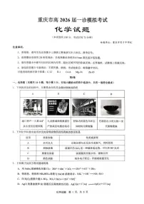 重庆市育才中学校2026届高三高考一诊模拟考试化学试卷（含答案）