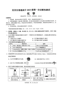四川省宜宾市2025-2026学年高三上学期一模 化学试卷（高考模拟）