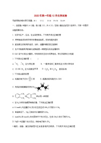 河北省保定市河北省博野中学2025~2026学年高一上册（12月）月考化学试题[附解析]