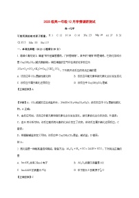 江苏省苏州工业园区星海实验中学2025~2026学年高一上册（12月）月考化学试题[附解析]