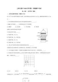 上海师范大学附属中学2025-2026学年高二上册期中考试化学试卷（含答案）