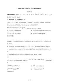 江苏省苏州工业园区星海实验中学2025-2026学年高一上册12月月考化学试卷（含解析）