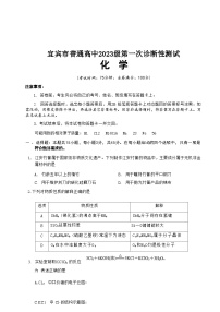 2026届四川省宜宾市高三上学期高考一模诊断性测试化学试题（含答案）