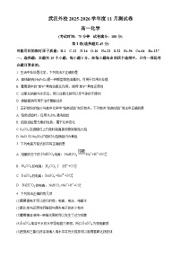湖北省武汉外国语学校2025-2026学年高一上学期11月月考化学试卷（Word版附解析）