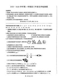 化学-河北省NT名校联合体2026届高三上学期1月检测试卷及答案