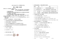 吉林省长春外国语学校2025-2026学年高一上学期期末考试化学试题（Word版附解析）