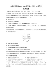 安徽省滁州市定远县育才学校2025-2026学年高二（上）12月月考化学试题（含答案）含答案解析