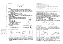河南省青桐鸣大联考2025-2026学年高三上学期1月月考化学试题（图片版，含答案）含答案解析