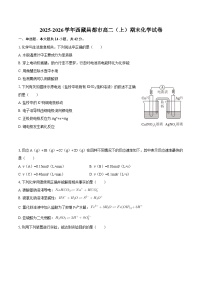2025-2026学年西藏昌都市高二（上）期末化学试卷-自定义类型