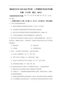 2025-2026学年湖南省长沙市高一上学期期末考试化学试题（有解析）