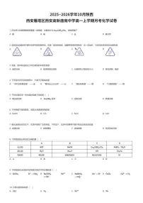 2025~2026学年10月陕西西安雁塔区西安高新唐南中学高一上学期月考化学试卷（有答案解析）