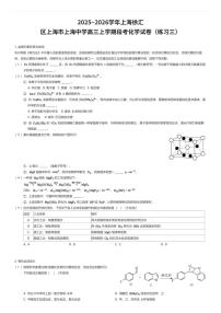 2025~2026学年上海徐汇区上海市上海中学高三上学期段考化学试卷（练习三）（有答案解析）