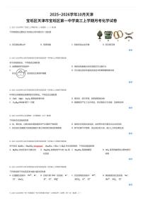 2025~2026学年天津宝坻区第⼀中学⾼三上学期10⽉⽉考化学试卷（有答案解析）