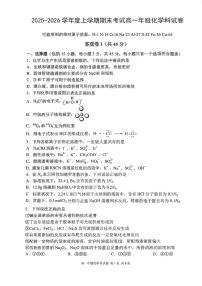辽宁省沈阳市东北育才学校2025-2026学年高一上学期期末考试化学试卷