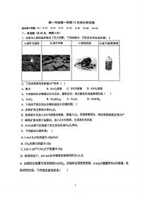 天津市河西区北京师范大学天津附属中学2025-2026学年高一上学期第二次月考化学试卷（月考）