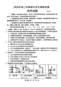 山东省青岛市2026届高三上学期1月部分学生调研检测（期末）化学试卷