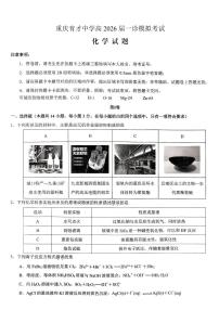 重庆市育才中学校高2026届高三（一诊）高考模拟考试化学试卷+答案