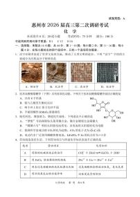 广东省惠州市2026届高三上学期第二次调研考试化学试卷（PDF版附答案）