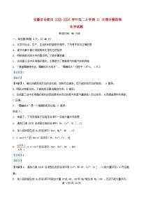 安徽省合肥市2025_2026学年高二化学上学期11月期中模拟卷试题含解析