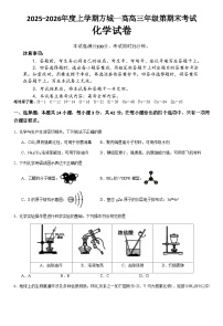 河南省南阳市方城县第一高级中学2025-2026学年高三上学期1月期末化学试题