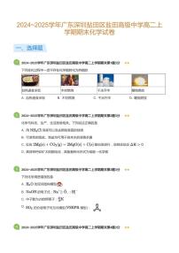 2024-2025学年深圳市盐田高级中学高二(上)期末化学试卷含答案