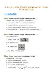 2024-2025学年深圳中学高二(上)期末化学试卷含答案