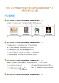2024-2025学年深圳实验学校高二(上)期末化学试卷含答案