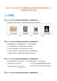 2024-2025学年深圳实验学校高二(上)期末化学试卷含答案