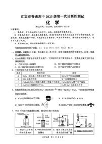 四川省宜宾市普通高中2026届高三上学期第一次诊断性测试 化学试卷（PDF图片版）(含答案）