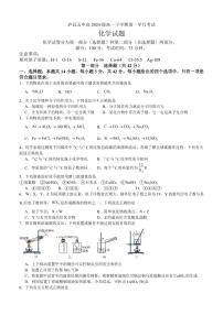 四川省泸州市泸县第五中学2024-2025学年高一下学期3月月考化学试题（无答案）