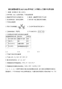 湖北省圆创联考2025-2026学年高二上学期11月期中化学试卷-自定义类型