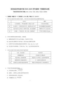 2024-2025学年深圳实验学校高一(上)期末化学试卷及答案
