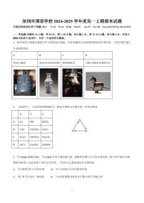 2024-2025学年深圳外国语学校高一(上)期末化学试卷及答案