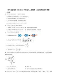 2026届四川省德阳市高三上学期第一次诊断考试化学试卷（含答案）