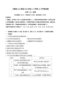 安徽省A10联盟2026届高三上学期12月学情检测 化学（A）试卷