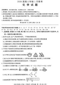 百师联盟2025-2026学年高三上学期1月期末联考化学试题含答案含答案解析