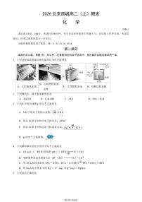 2026北京西城高二（上）期末化学试卷   有答案