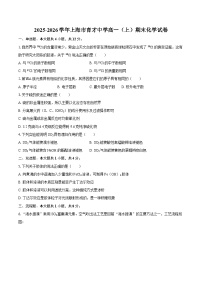 2025-2026学年上海市育才中学高一（上）期末化学试卷-自定义类型